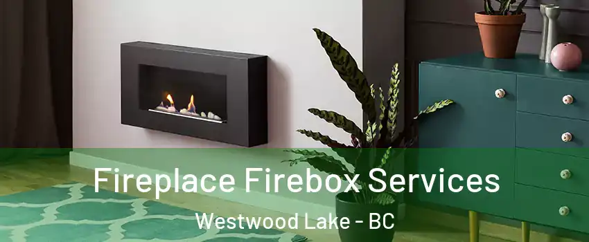  Fireplace Firebox Services Westwood Lake - BC