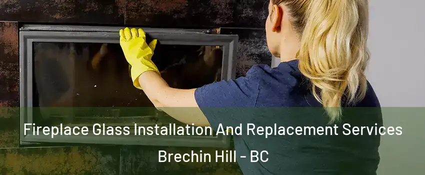  Fireplace Glass Installation And Replacement Services Brechin Hill - BC