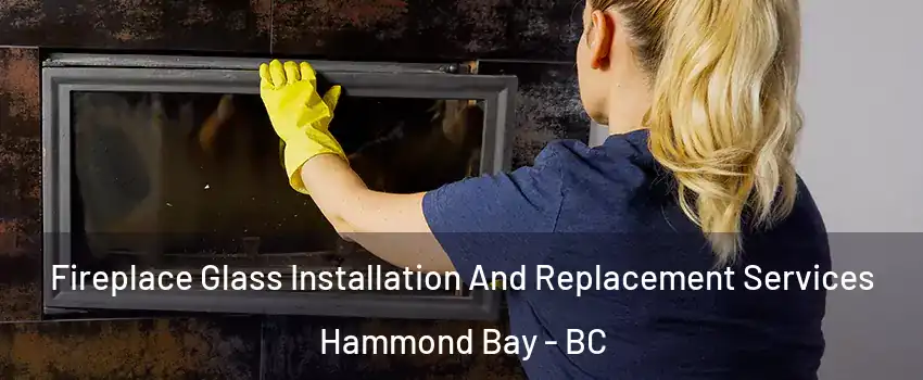  Fireplace Glass Installation And Replacement Services Hammond Bay - BC