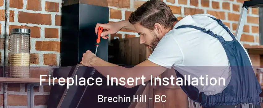  Fireplace Insert Installation Brechin Hill - BC