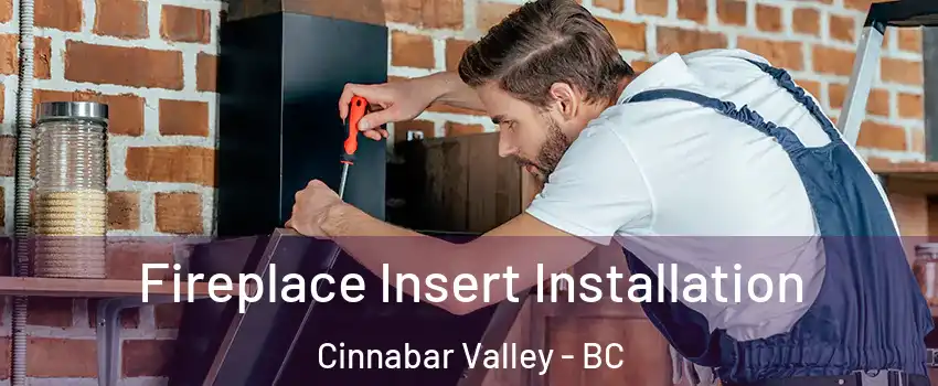 Fireplace Insert Installation Cinnabar Valley - BC