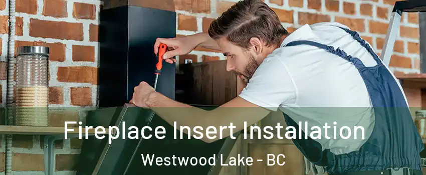  Fireplace Insert Installation Westwood Lake - BC