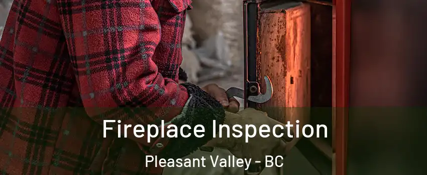  Fireplace Inspection Pleasant Valley - BC