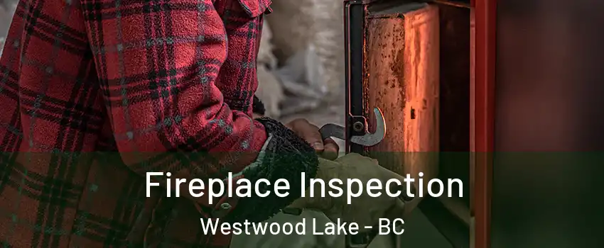  Fireplace Inspection Westwood Lake - BC