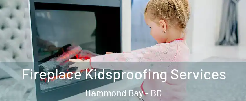  Fireplace Kidsproofing Services Hammond Bay - BC