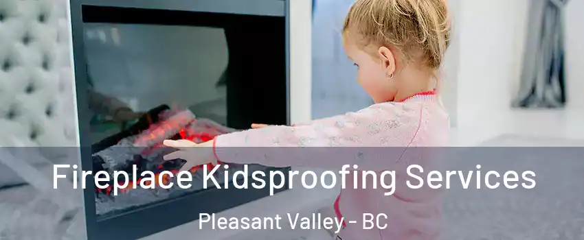  Fireplace Kidsproofing Services Pleasant Valley - BC