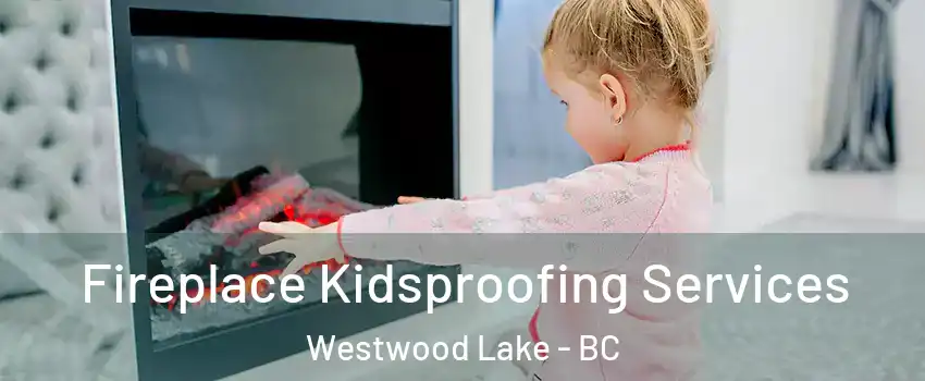  Fireplace Kidsproofing Services Westwood Lake - BC