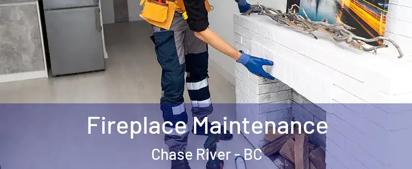  Fireplace Maintenance Chase River - BC