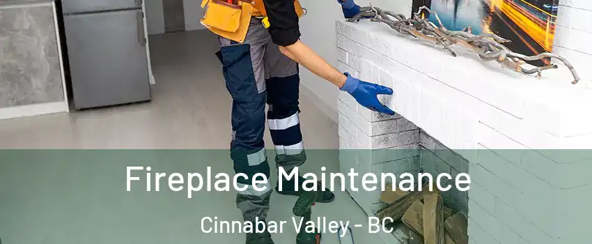  Fireplace Maintenance Cinnabar Valley - BC