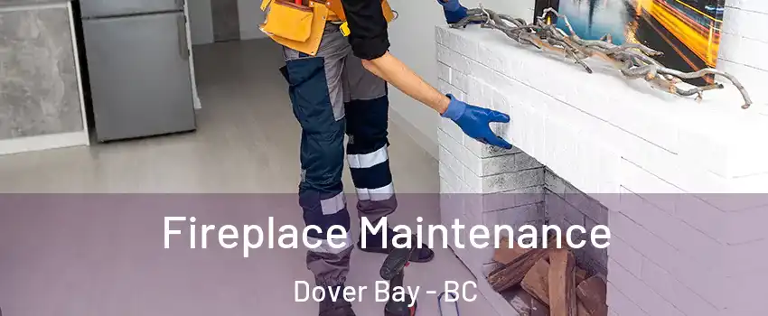  Fireplace Maintenance Dover Bay - BC