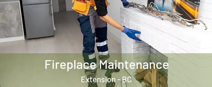 Fireplace Maintenance Extension - BC