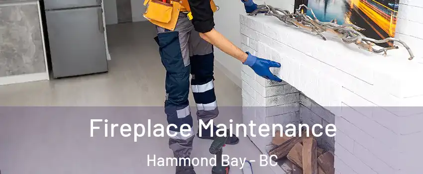  Fireplace Maintenance Hammond Bay - BC