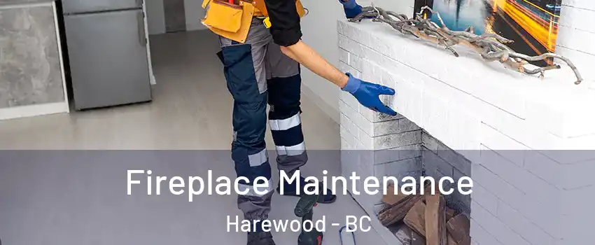  Fireplace Maintenance Harewood - BC