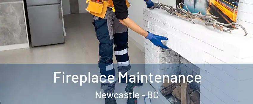  Fireplace Maintenance Newcastle - BC