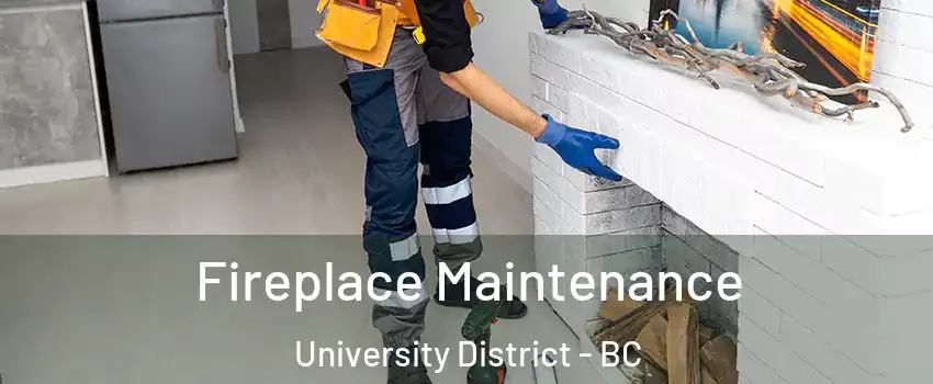  Fireplace Maintenance University District - BC