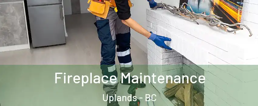 Fireplace Maintenance Uplands - BC