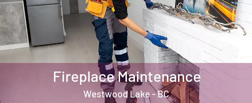  Fireplace Maintenance Westwood Lake - BC
