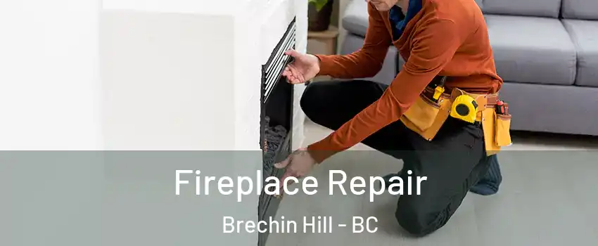  Fireplace Repair Brechin Hill - BC