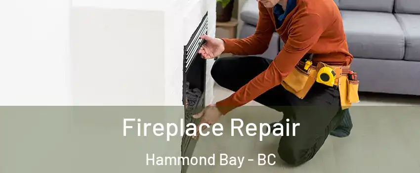  Fireplace Repair Hammond Bay - BC