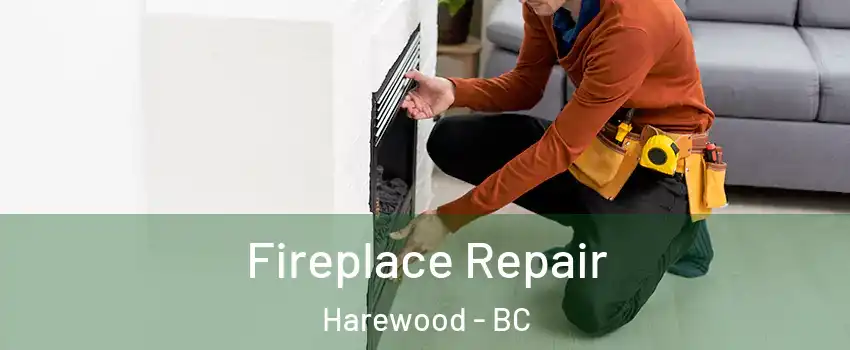  Fireplace Repair Harewood - BC