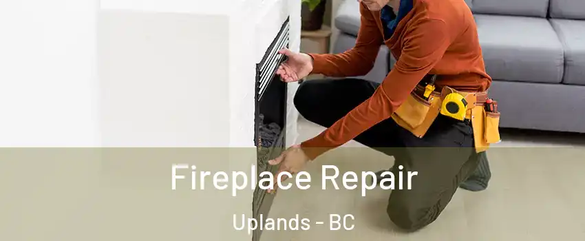  Fireplace Repair Uplands - BC