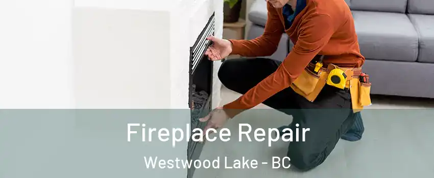  Fireplace Repair Westwood Lake - BC