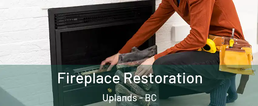  Fireplace Restoration Uplands - BC