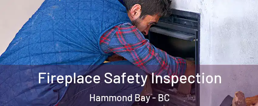 Fireplace Safety Inspection Hammond Bay - BC
