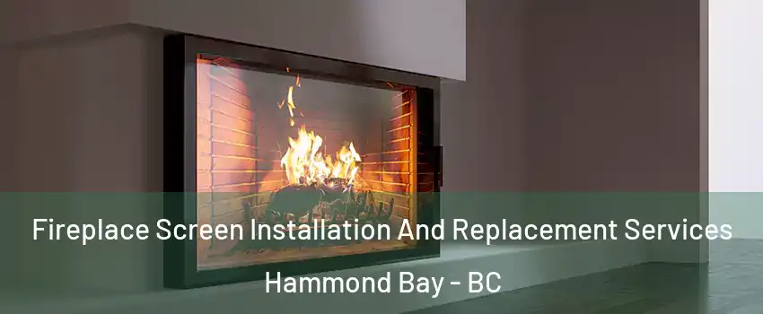 Fireplace Screen Installation And Replacement Services Hammond Bay - BC