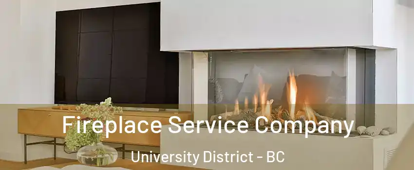 Fireplace Service Company University District - BC