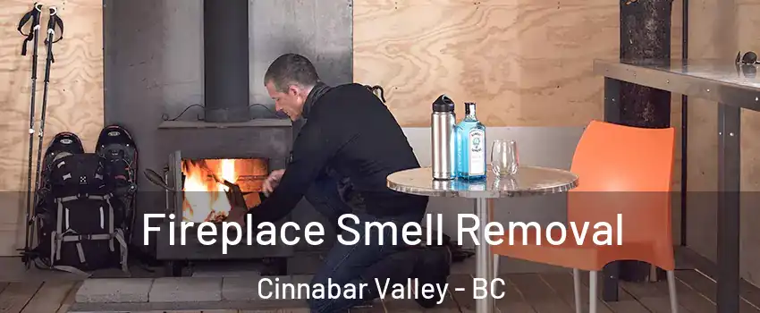  Fireplace Smell Removal Cinnabar Valley - BC