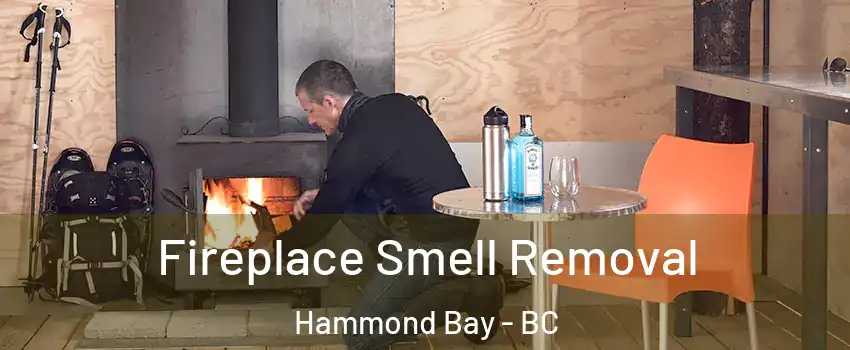  Fireplace Smell Removal Hammond Bay - BC