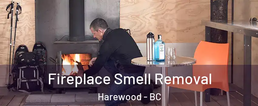  Fireplace Smell Removal Harewood - BC