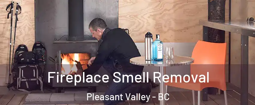  Fireplace Smell Removal Pleasant Valley - BC