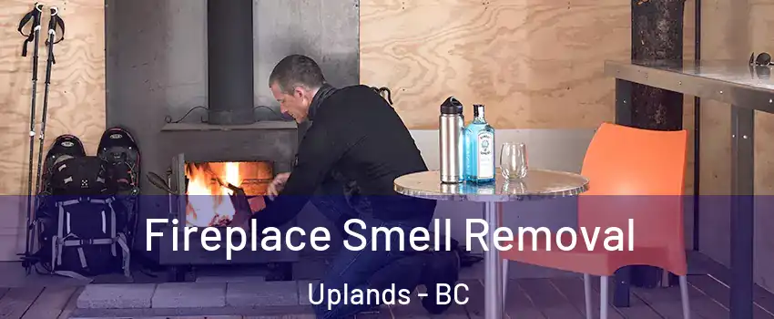  Fireplace Smell Removal Uplands - BC