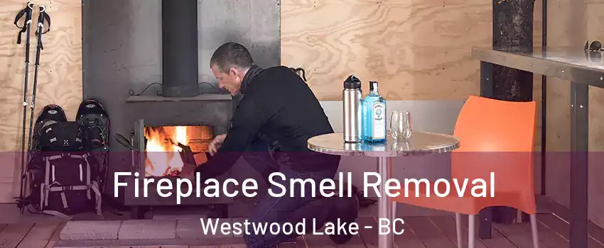  Fireplace Smell Removal Westwood Lake - BC