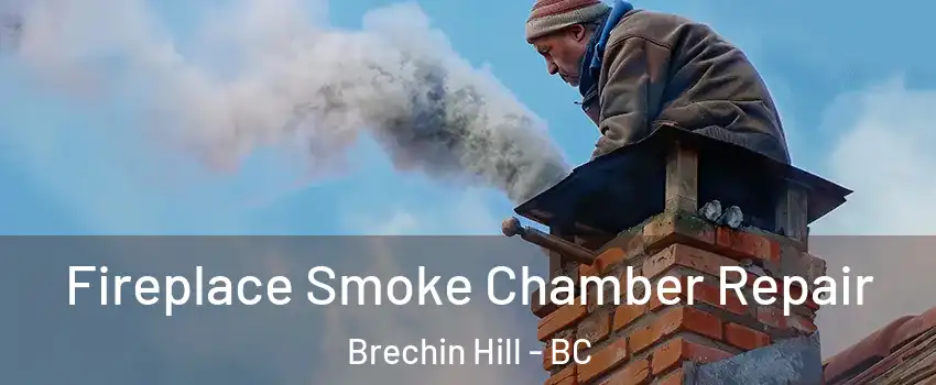  Fireplace Smoke Chamber Repair Brechin Hill - BC