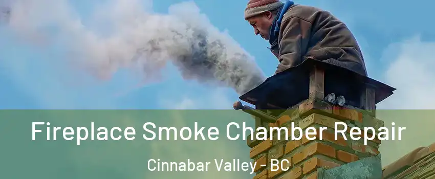  Fireplace Smoke Chamber Repair Cinnabar Valley - BC