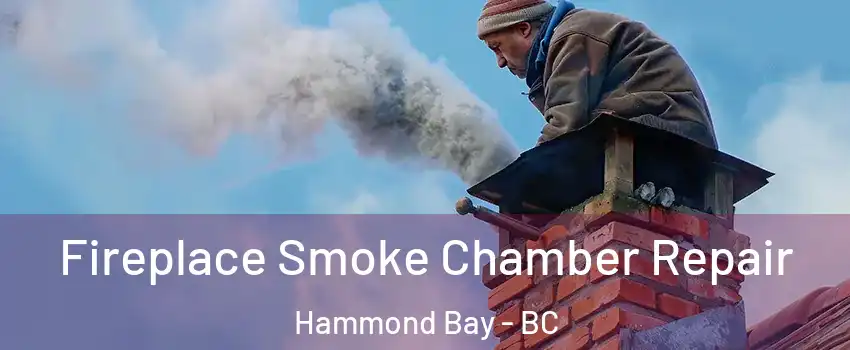  Fireplace Smoke Chamber Repair Hammond Bay - BC