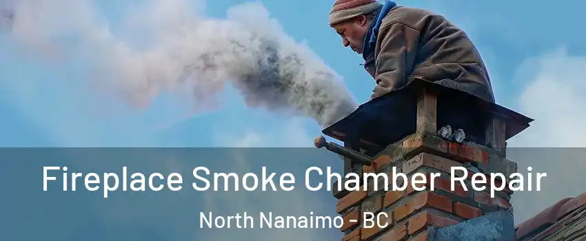  Fireplace Smoke Chamber Repair North Nanaimo - BC