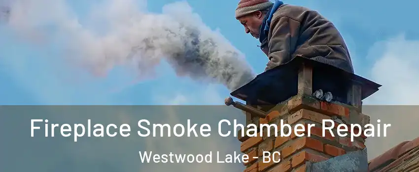  Fireplace Smoke Chamber Repair Westwood Lake - BC