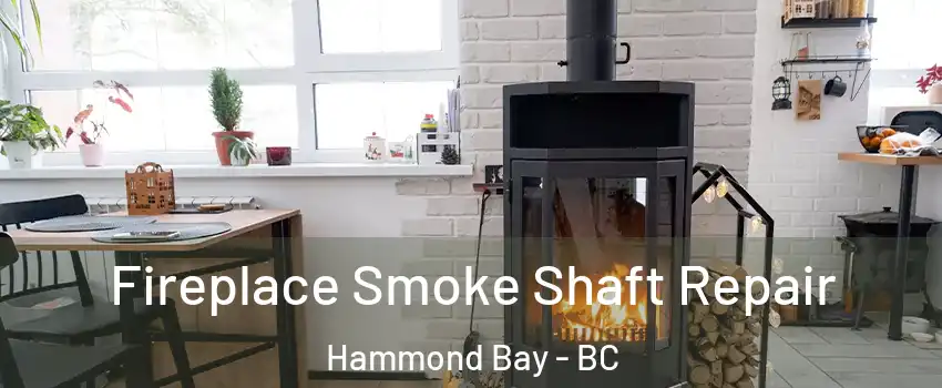  Fireplace Smoke Shaft Repair Hammond Bay - BC