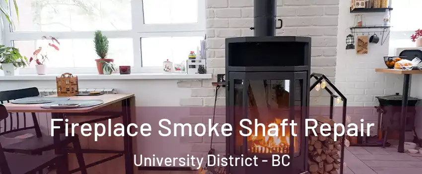  Fireplace Smoke Shaft Repair University District - BC