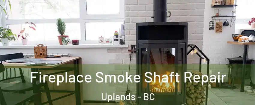  Fireplace Smoke Shaft Repair Uplands - BC