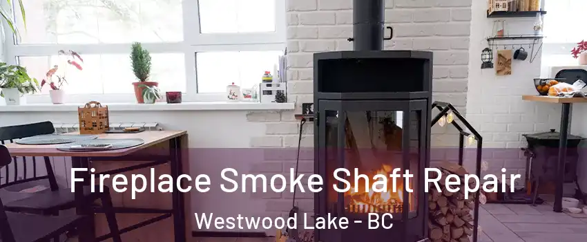  Fireplace Smoke Shaft Repair Westwood Lake - BC