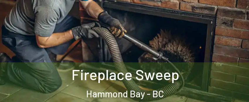  Fireplace Sweep Hammond Bay - BC