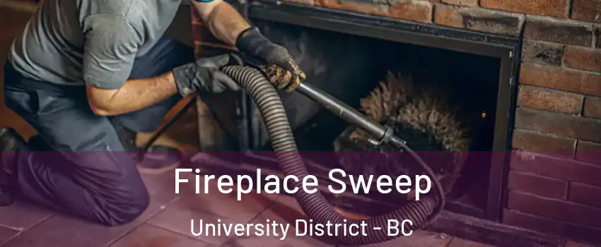  Fireplace Sweep University District - BC