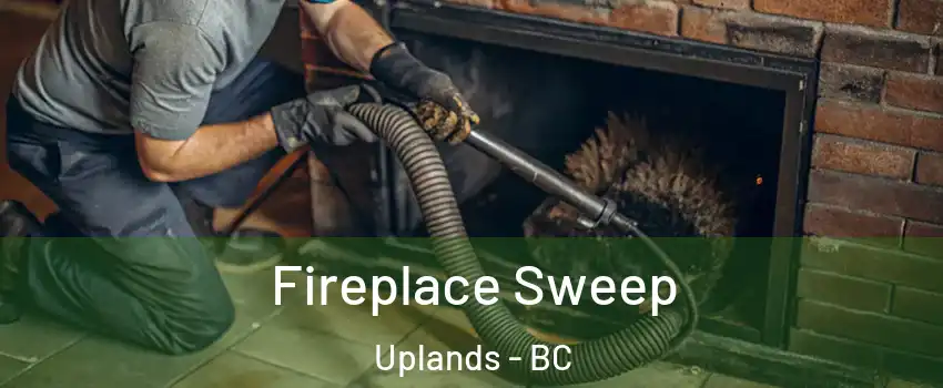  Fireplace Sweep Uplands - BC