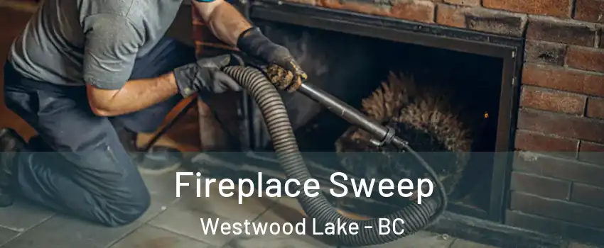  Fireplace Sweep Westwood Lake - BC