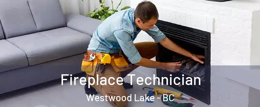 Fireplace Technician Westwood Lake - BC